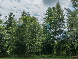 Русский лес, санаторий